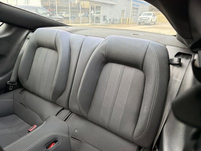 2019 Ford Mustang EcoBoost