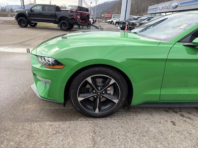 2019 Ford Mustang EcoBoost